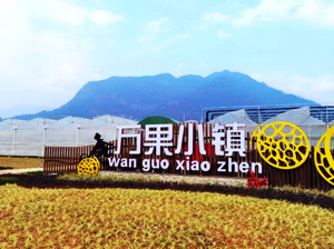 万果小镇